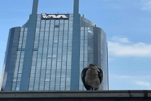 2 päivää Nairobin yksityinen kiertomatka & Nairobin kansallispuiston safari