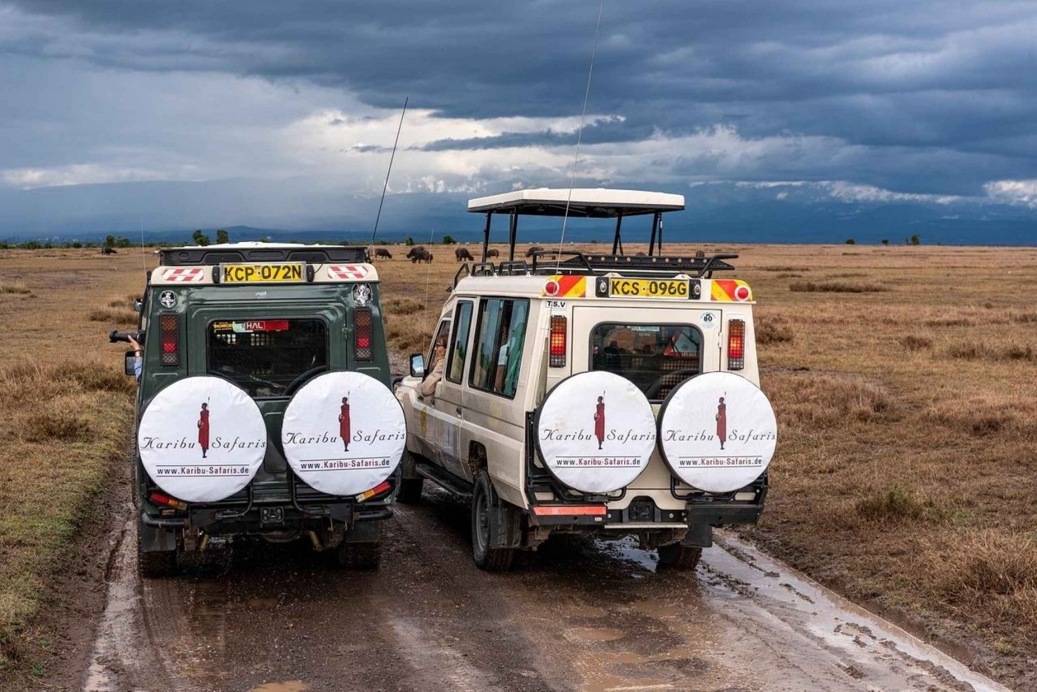 3 days safari in Masai Mara by open-top 4X4 Land Cruiser