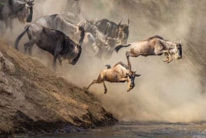 Nairobi: Day Trip to Maasai Mara Reserve & Maasai village