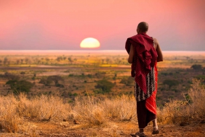 Nairobi: Day Trip to Maasai Mara Reserve & Maasai village