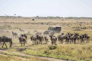 Nairobi: Day Trip to Maasai Mara Reserve & Maasai village