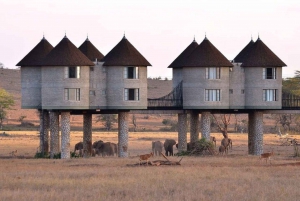 Safari di 3 giorni al Saltlick lodge da Nairobi
