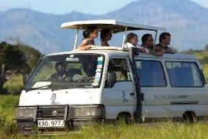 Safari di 3 giorni al Saltlick lodge da Nairobi