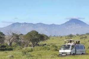 Safari di 3 giorni al Saltlick lodge da Nairobi