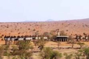 Safari di 3 giorni al Saltlick lodge da Nairobi