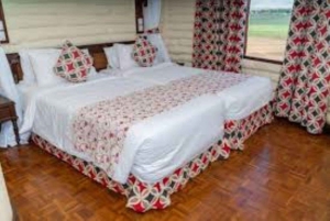Safari di 3 giorni al Saltlick lodge da Nairobi