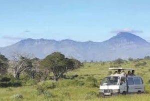 3 Tage Safari zur Saltlick Lodge von Nairobi aus