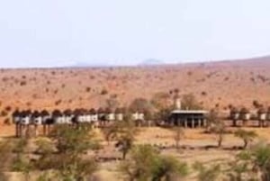 3 Tage Safari zur Saltlick Lodge von Nairobi aus