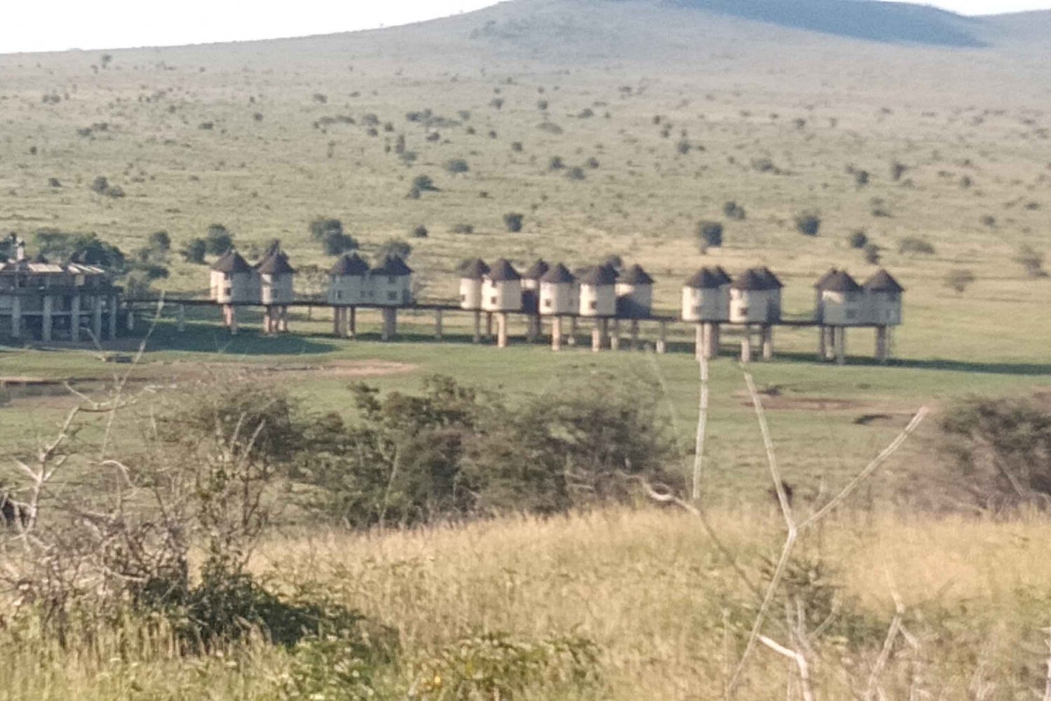 3 dagers safari i Tsavo Øst og Taita Hills/ Saltlick lodge