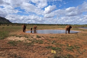 3 giorni di safari nello Tsavo Est da Nairobi o dalla regione della costa
