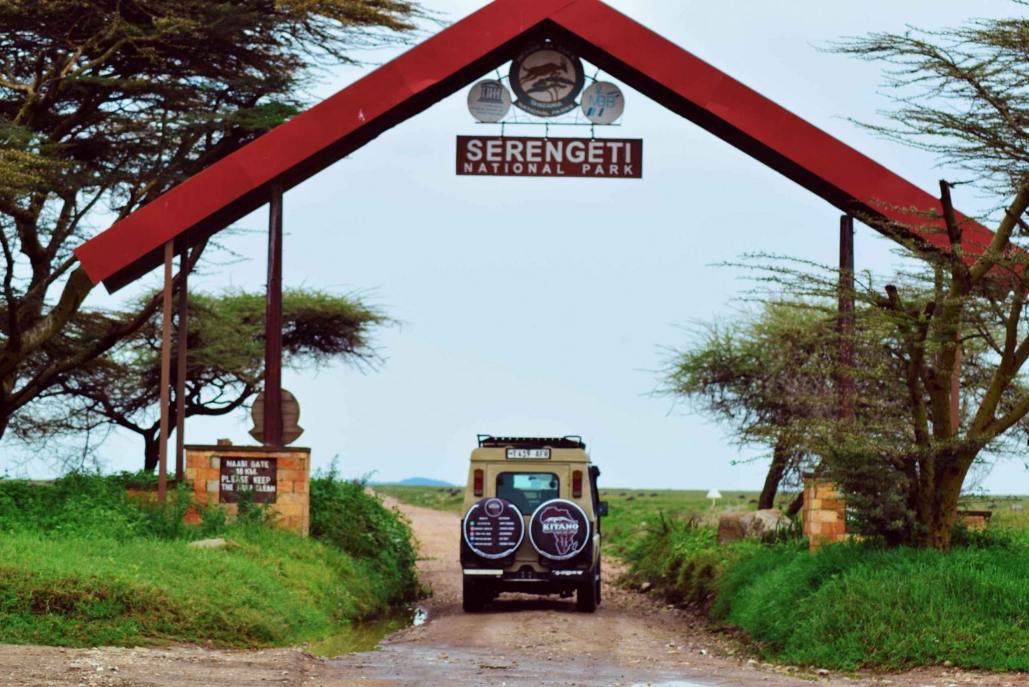 3 dagers safari i Serengeti fra Nairobi