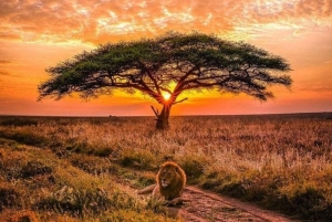 3 Days trip to Ruma National Park from Nairobi