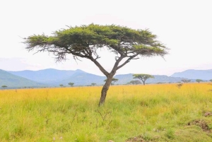 3 Days trip to Ruma National Park from Nairobi