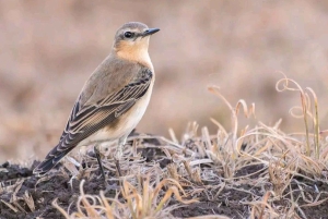 3 Days trip to Ruma National Park from Nairobi