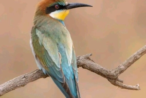 3 Days trip to Ruma National Park from Nairobi