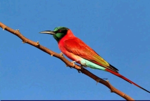 3 Days trip to Ruma National Park from Nairobi