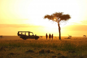 3-dniowe safari Tsavo East i Saltlick z Diani/Mombasy