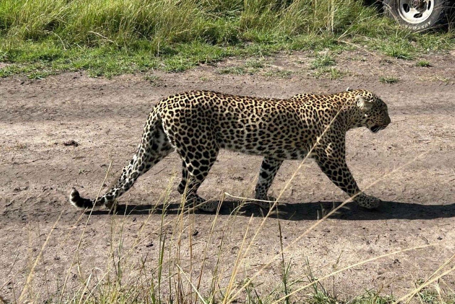 3-dagers safari i Tsavo East nasjonalpark fra Nairobi
