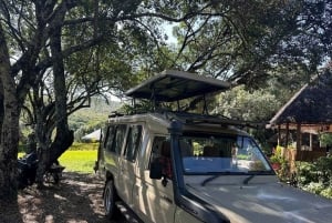 3-dagers safari i Tsavo East nasjonalpark fra Nairobi