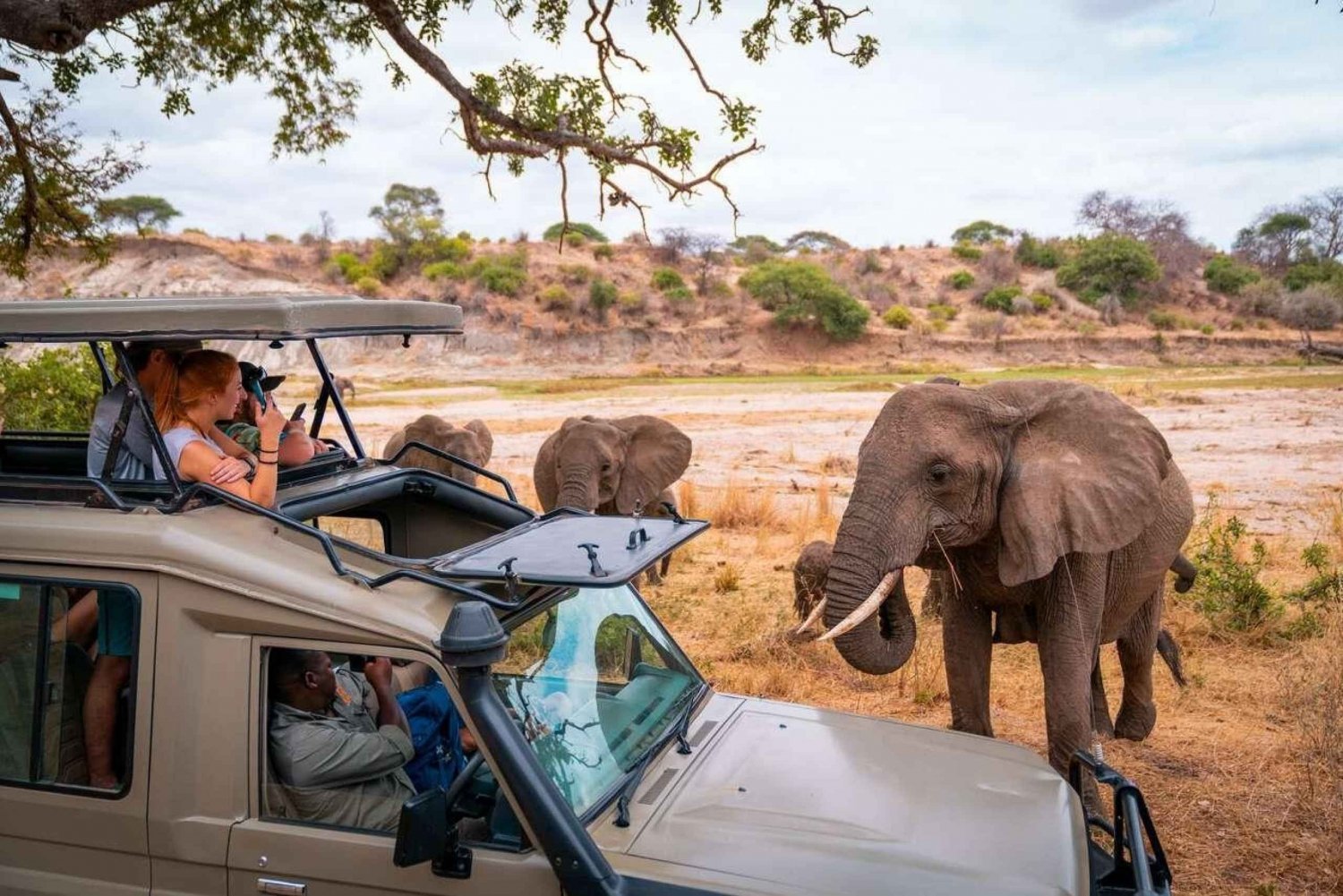 Safári de 3 dias no Masai Mara Gamedrive em jipe Landcruiser 4x4