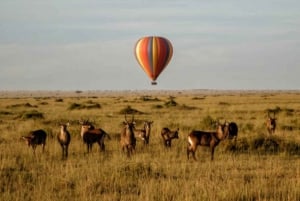 Safari de 3 jours en groupe au Maasai Mara au départ de Nairobi
