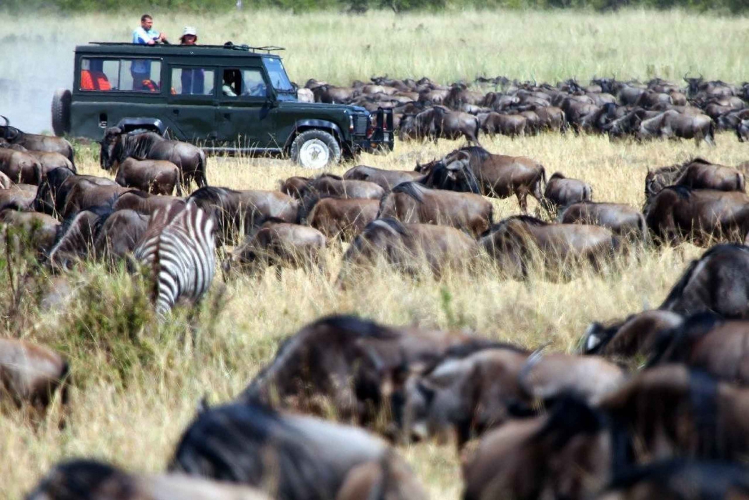 3Days Masai Mara Camping Group liittyminen Safari 4x4 Jeepillä