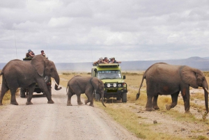 Safari de acampada de 3 días en Masai Mara con un 4x4 Land Cruiser Jeep