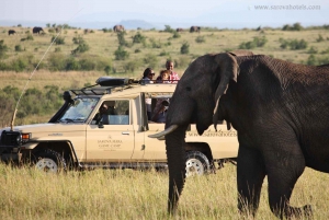 3-dagers Masai Mara Campingsafari med en 4x4 Land Cruiser Jeep