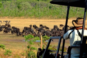3D-päivän Masai Mara Camping Safari 4x4 Land Cruiser Jeepillä