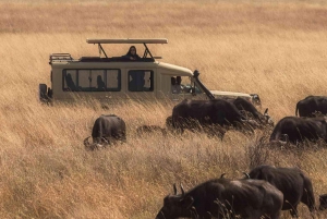 Safári de acampamento de 3 dias em Masai Mara com um jipe Land Cruiser 4x4