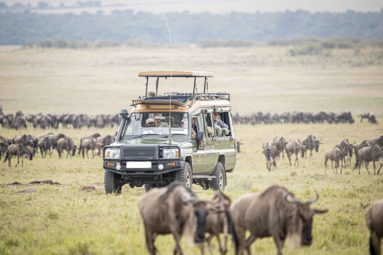 3 dias de acampamento em grupo no Masai Mara com saídas diárias