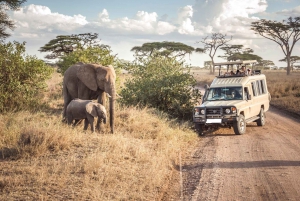 3D-dagars Masai Mara & Naivasha Båttur Grupptillhörighet Camping