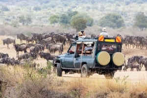 3 Tage Masai Mara & Naivasha Bootsfahrt Gruppenzusammenführung Camping