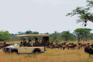 3 Tage Masai Mara & Naivasha Bootsfahrt Gruppenzusammenführung Camping