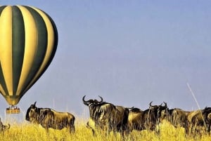 3Days Masai Mara Safari with Hot Air Balloon Ride Experience