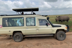 4-Day Masai Mara and Lake Nakuru Mid-Luxury Safari