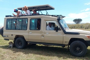 4-Day Masai Mara and Lake Nakuru Mid-Luxury Safari