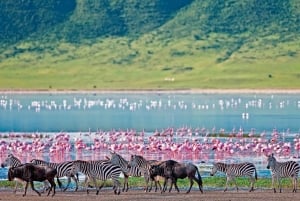 Safari de 4 jours à Masai Mara et au lac Nakuru