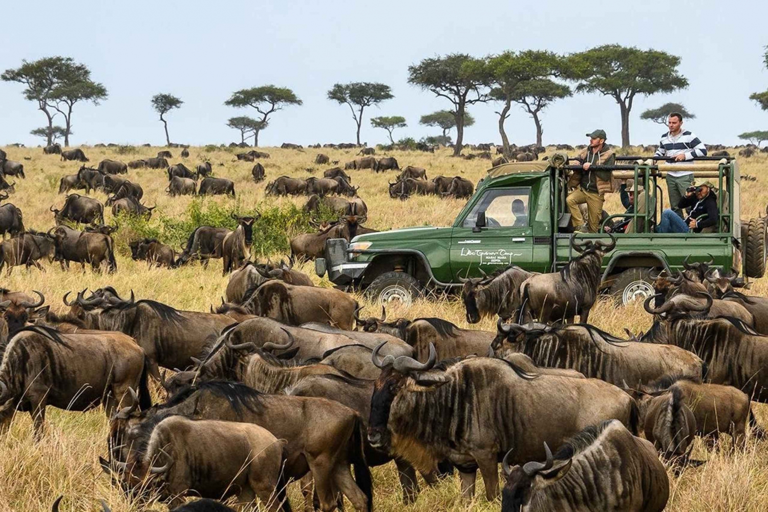 4 päivä Masai Maran kansallispuisto ryhmäliitännäiset Budget Camping