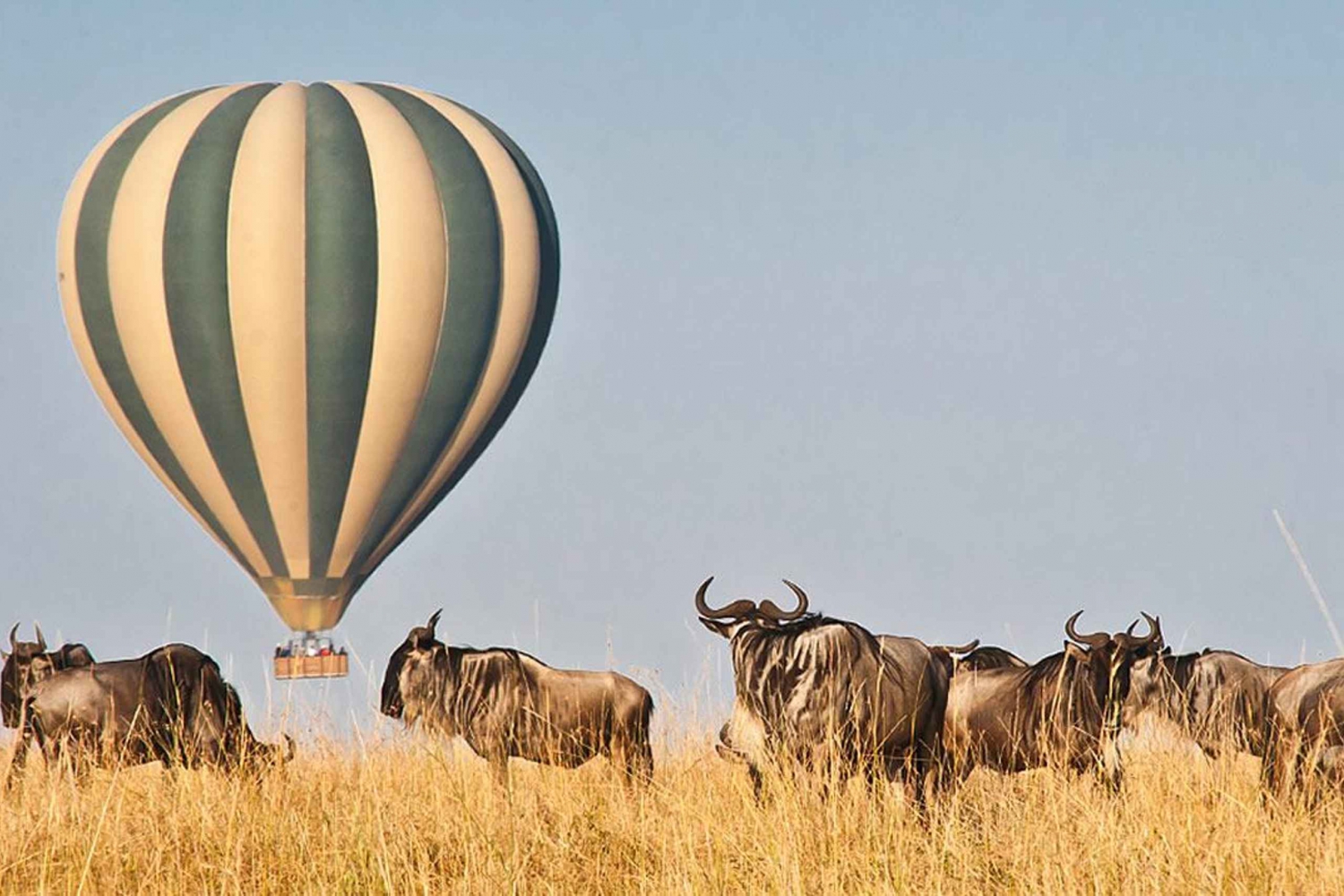4-day Masai Mara safari combined with a hot air balloon ride