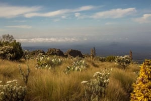 4-Day Mount Kenya: Sirimon Route Thrilling Hike