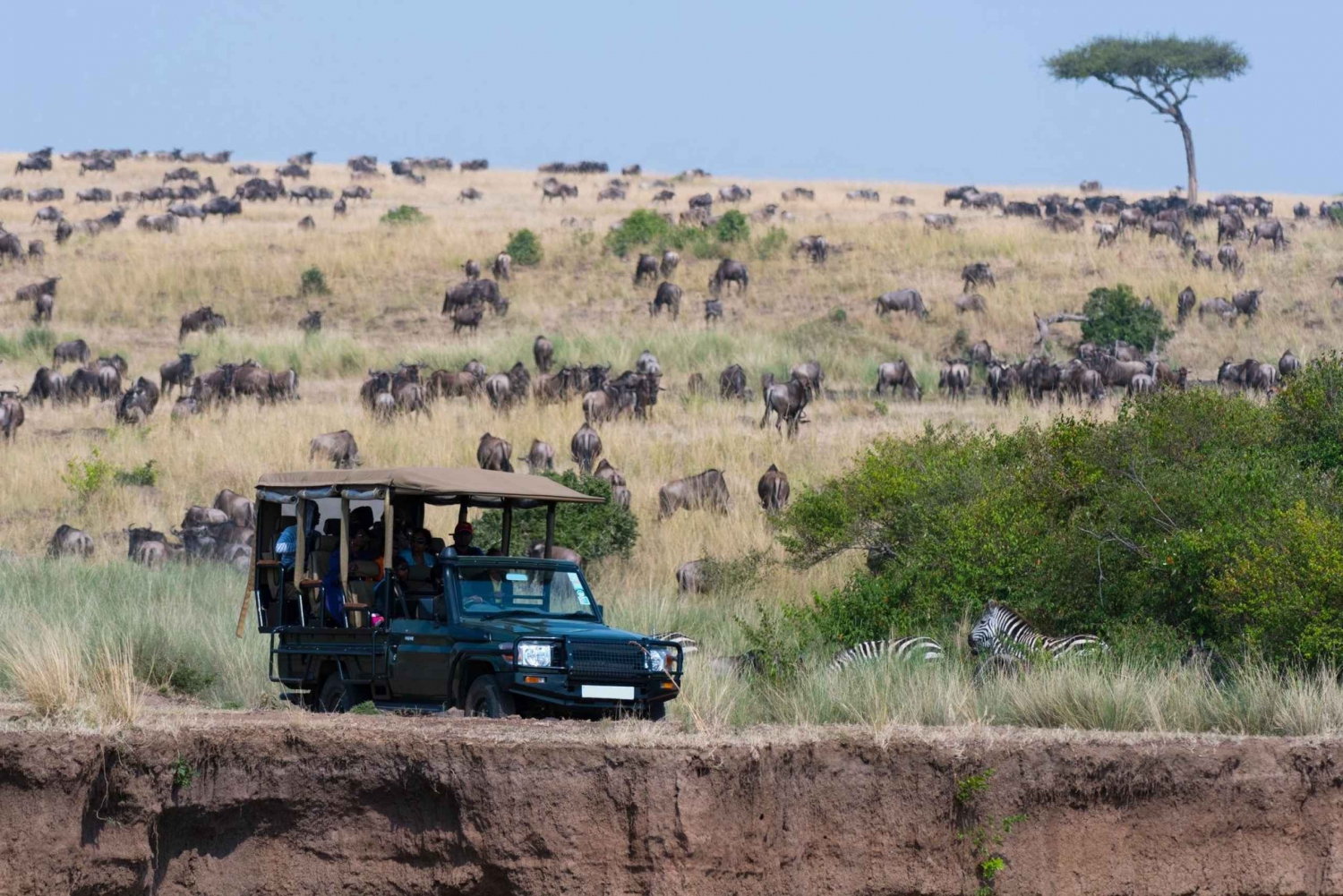 4 dages budget-safari i Masai Mara og Nakuru-søen