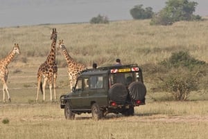 マサイマラ国立保護区ラグジュアリーロッジサファリ4日間