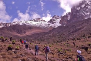 4 Days Mt Kenya Climbing & Hiking Expeditions: Sirimon Route
