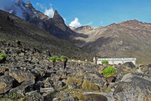 4 Days Mt Kenya Climbing & Hiking Expeditions: Sirimon Route