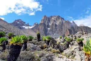 4 Days Mt Kenya Climbing & Hiking Expeditions: Sirimon Route