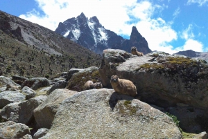 4 Days Mt Kenya Climbing Safari