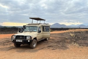 SAFARI DE 4 DÍAS EN GRUPO REDUCIDO A MAASAI MARA Y L NAKURU EN 4X4