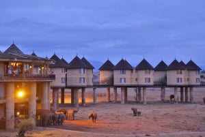 4 days Tsavo East, Amboseli and saltlick lodge safari