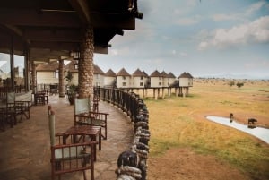 4 giorni di safari Tsavo Est e Tsavo Ovest da Mombasa